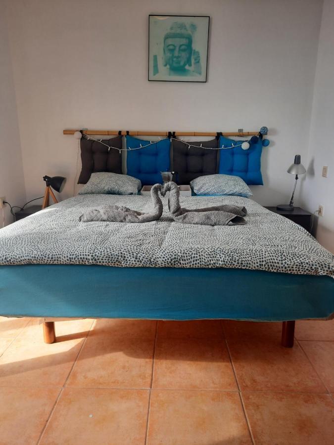 Sun & Surf Loft, Near Main Street And Beach, Wifi Fiber, Winter Garden With Sea View Corralejo Exteriér fotografie